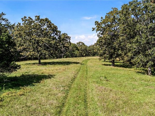 TRACTS 2 & 3 - 13610 N Sr 105, Hector, AR 72843