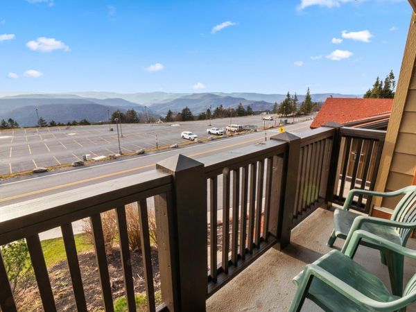 7 Rimfire Road, Snowshoe, WV 26209