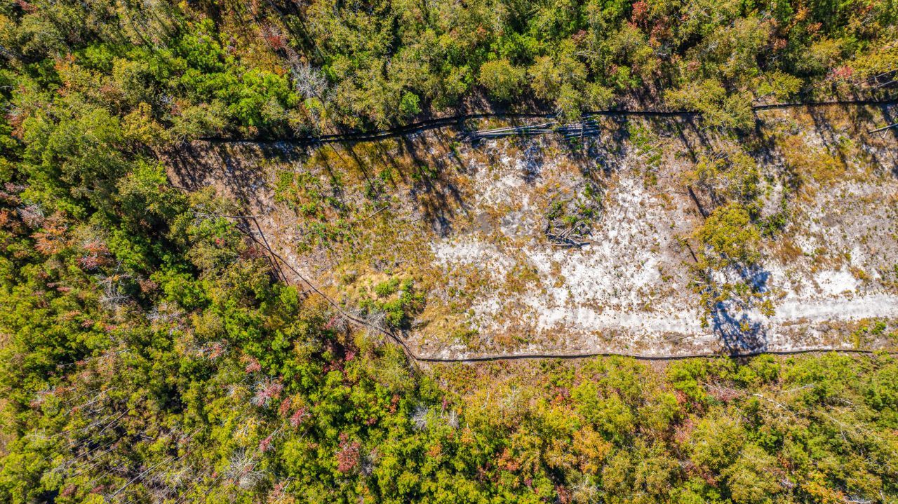 0 Limehouse Lane Photo 21