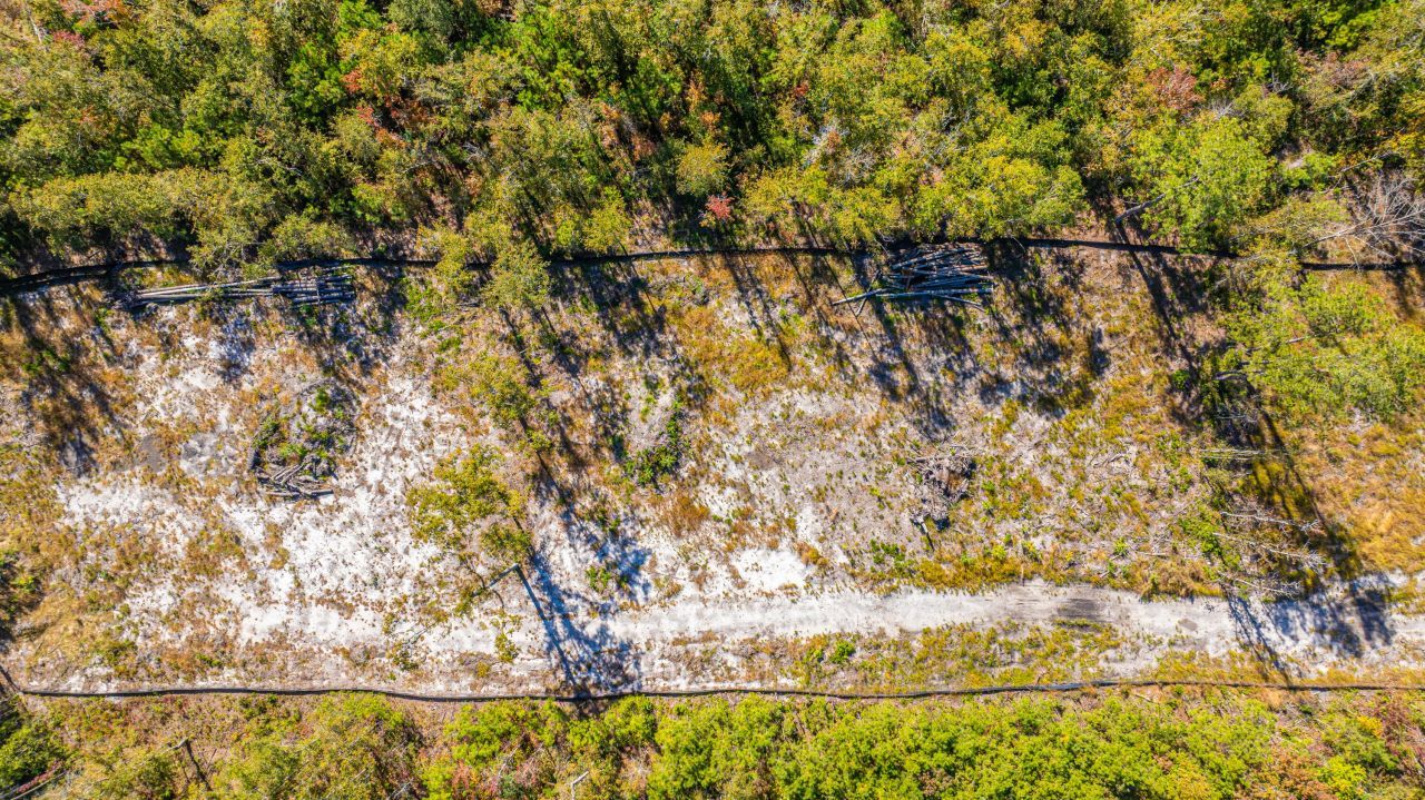 0 Limehouse Lane Photo 29