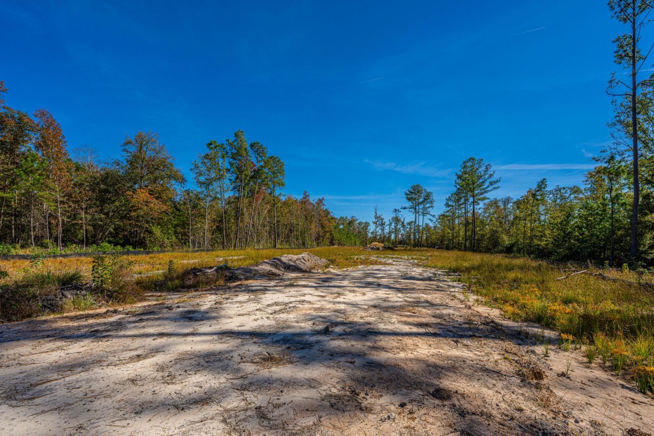 0 Limehouse Lane Photo 33