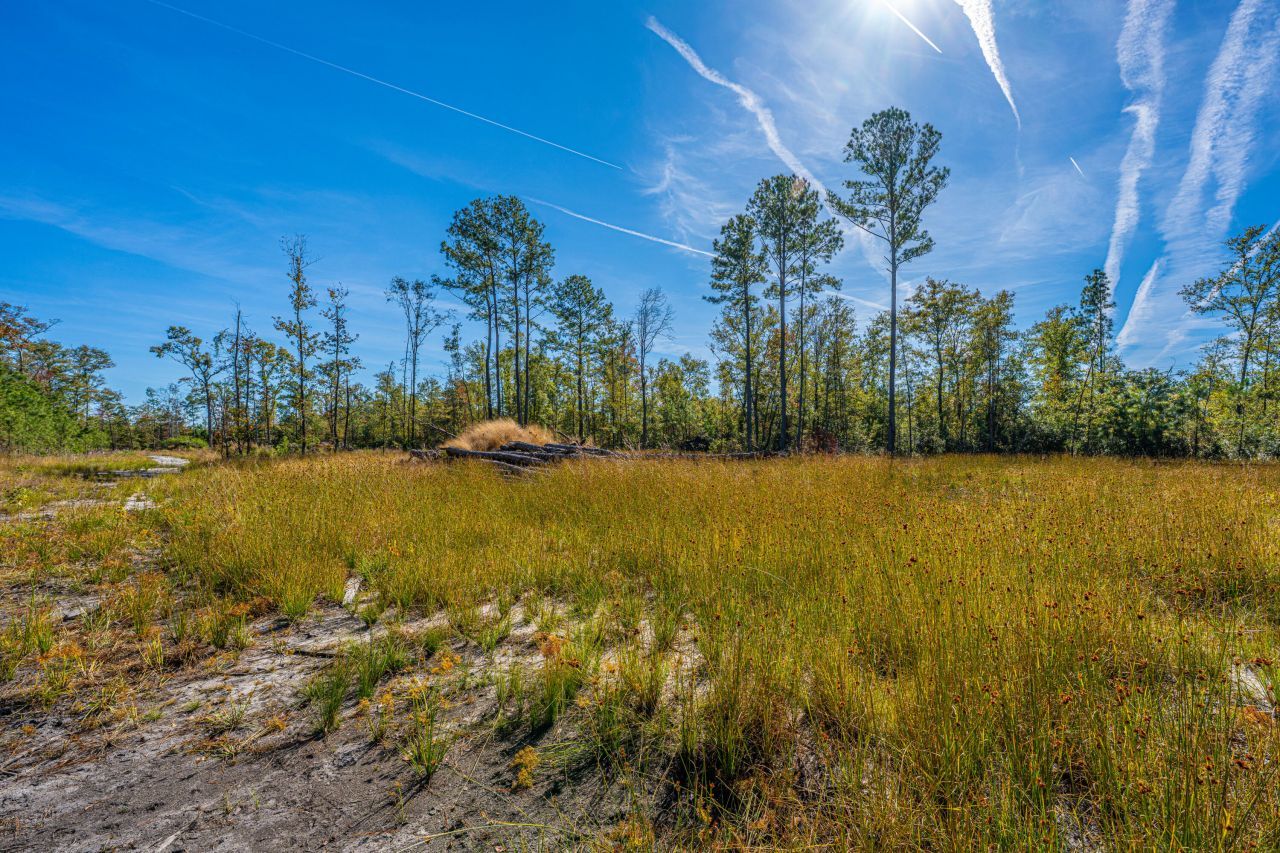 0 Limehouse Lane Photo 35