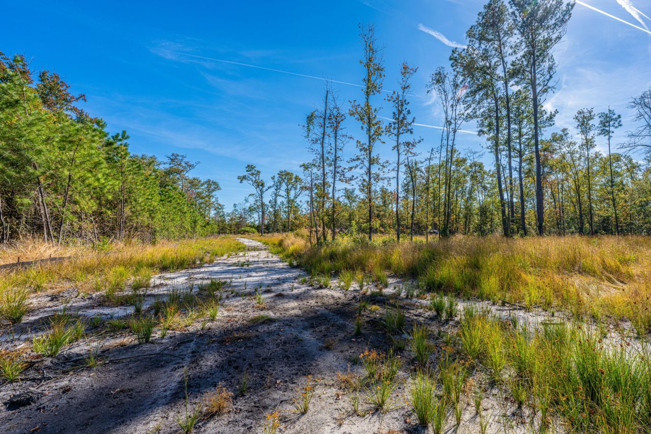 0 Limehouse Lane Photo 37