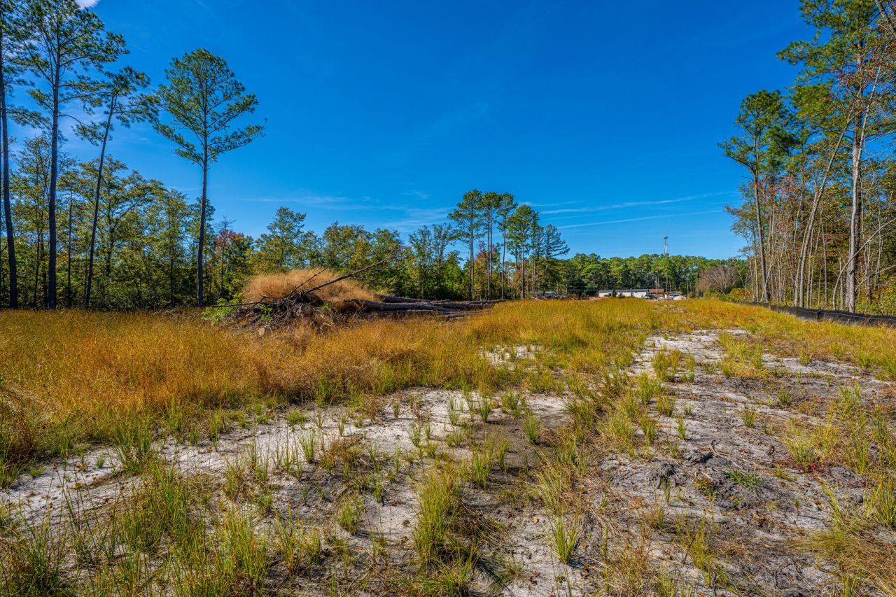 0 Limehouse Lane Photo 38