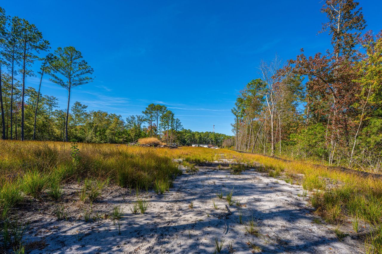 0 Limehouse Lane Photo 39