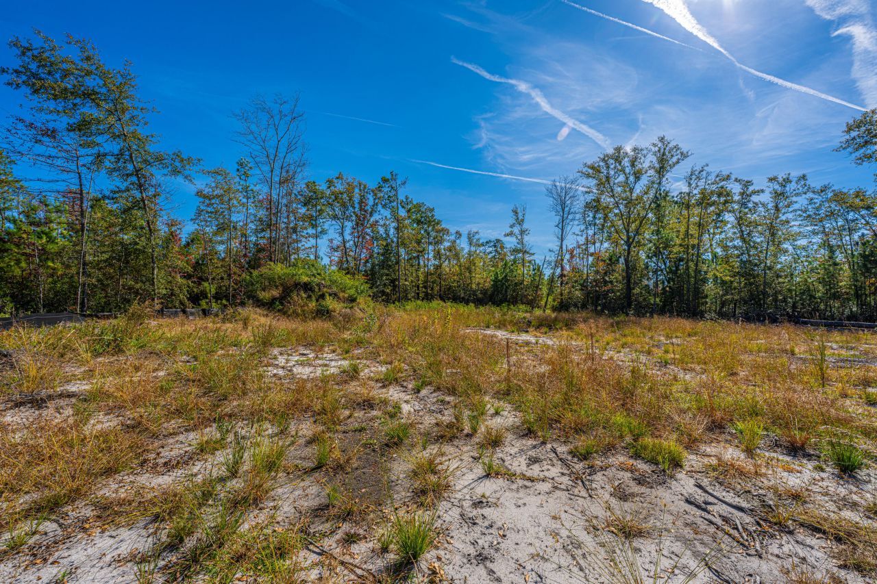 0 Limehouse Lane Photo 42