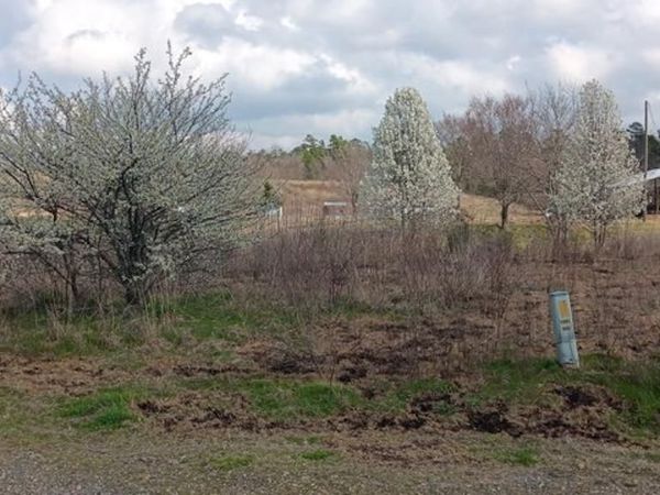 1525 Whitetown Road, Oden, AR 71961