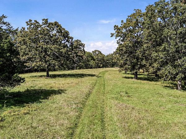 TRACT 2&3-13610 N SR 105, Hector, AR 72843