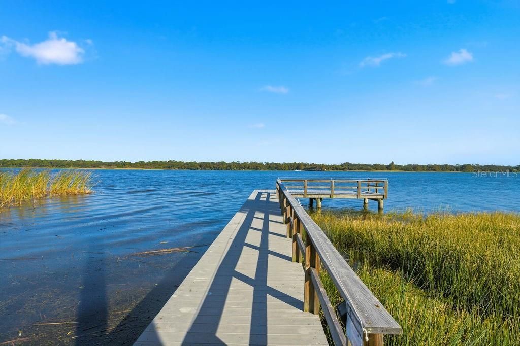 10534 Lake Seminole Terrace, Seminole, FL 33772 Photo