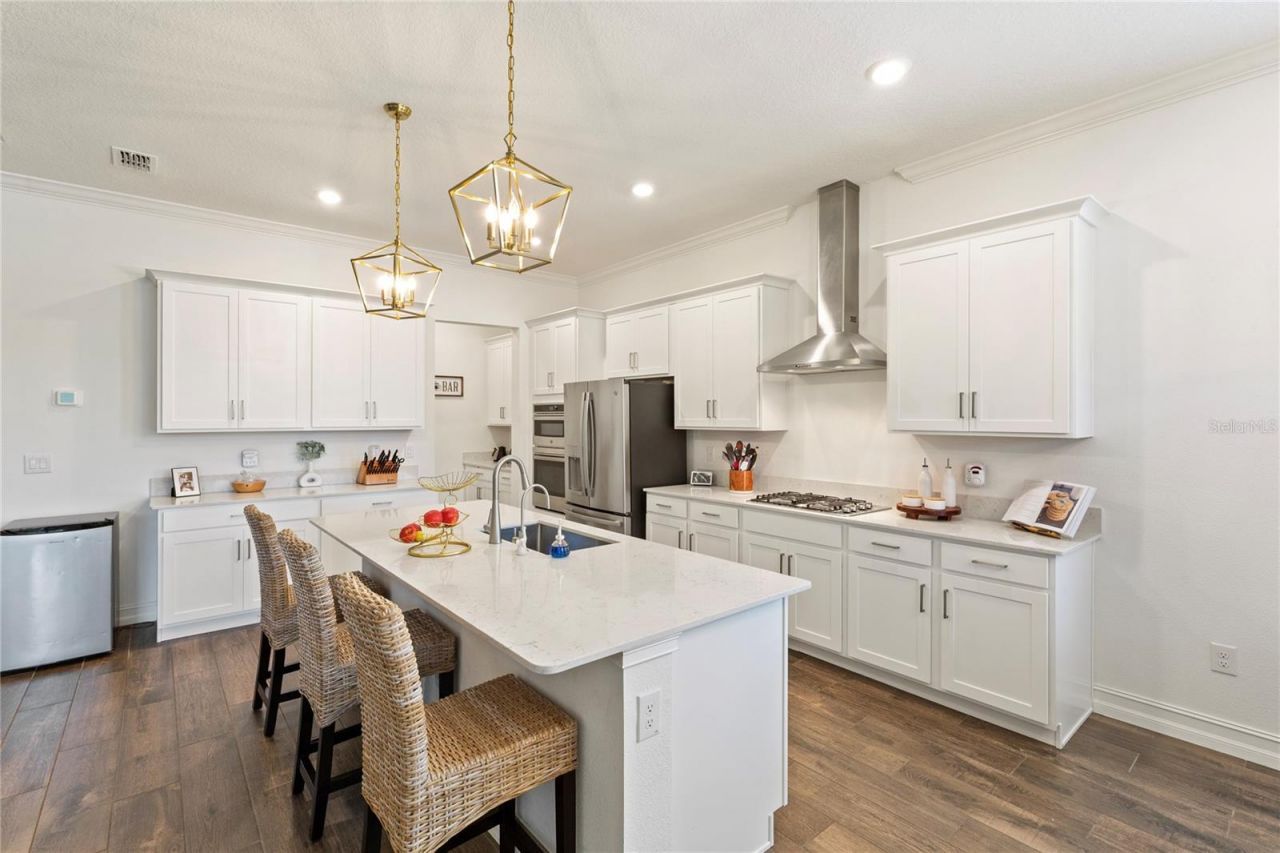 8692 Little Bluestem Drive, Land O Lakes, FL 34637 Photo