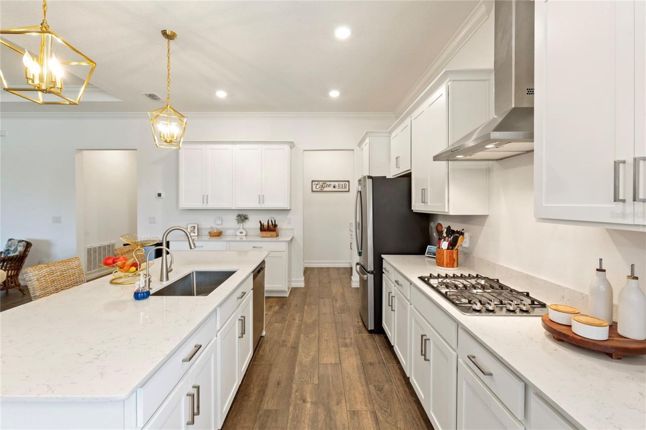 8692 Little Bluestem Drive, Land O Lakes, FL 34637 Photo