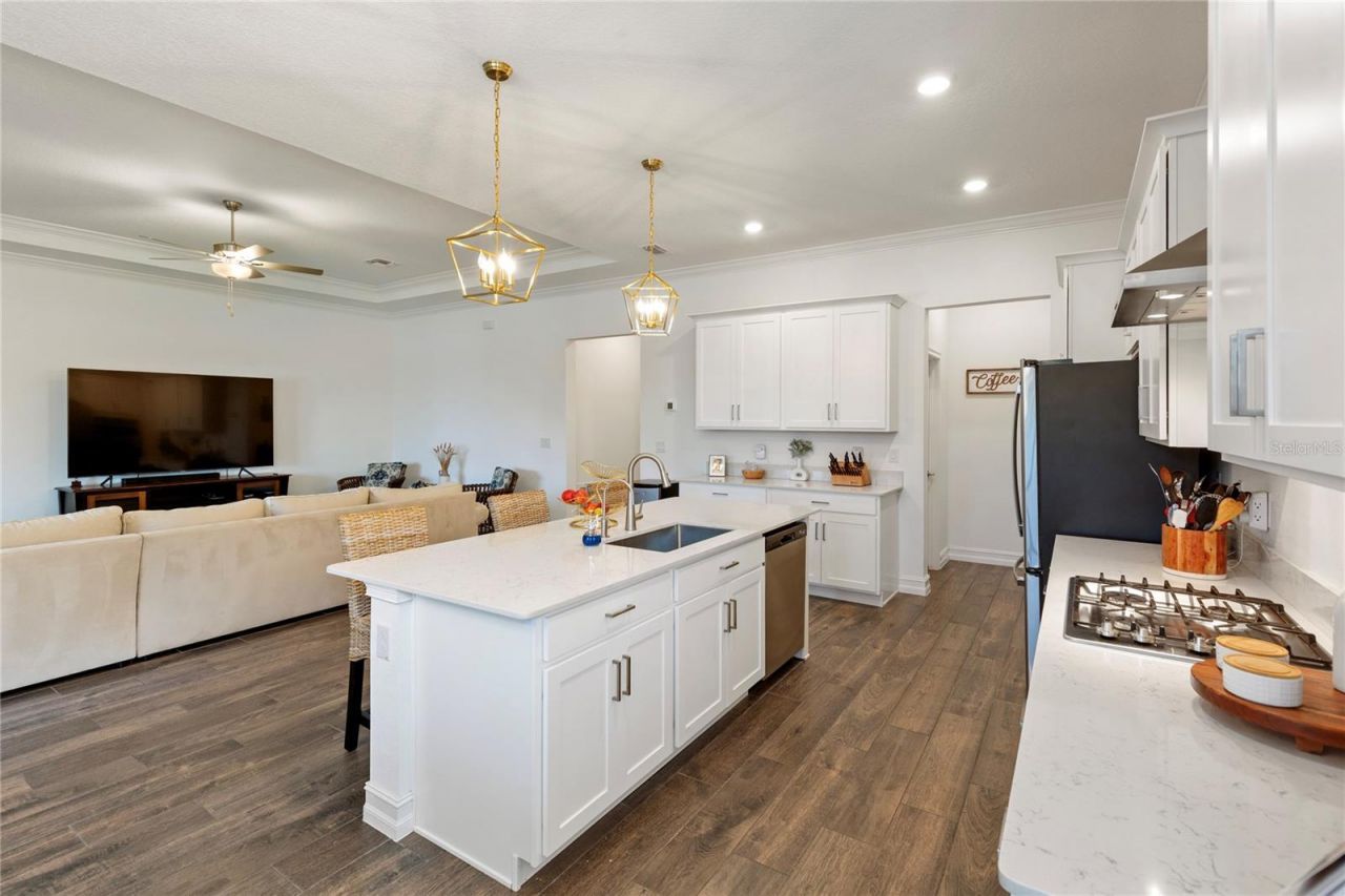 8692 Little Bluestem Drive, Land O Lakes, FL 34637 Photo