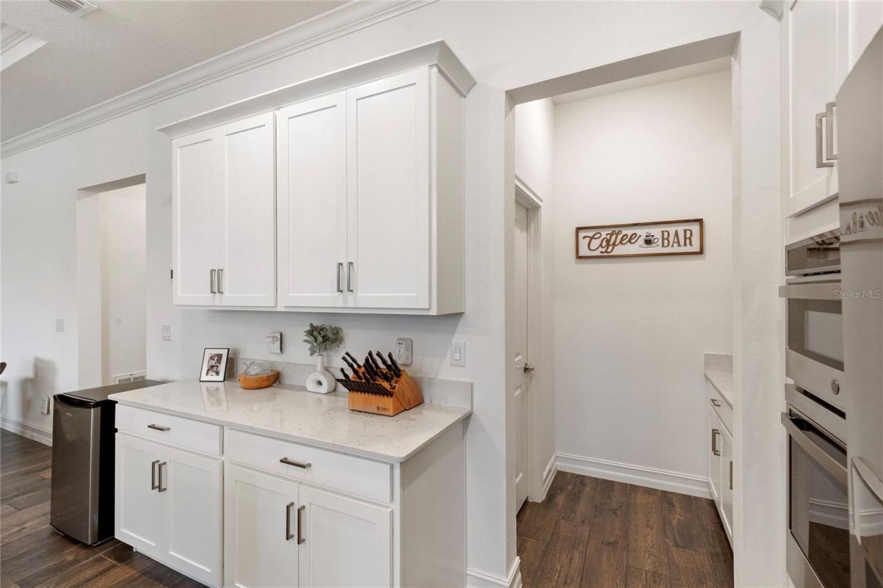 8692 Little Bluestem Drive, Land O Lakes, FL 34637 Photo