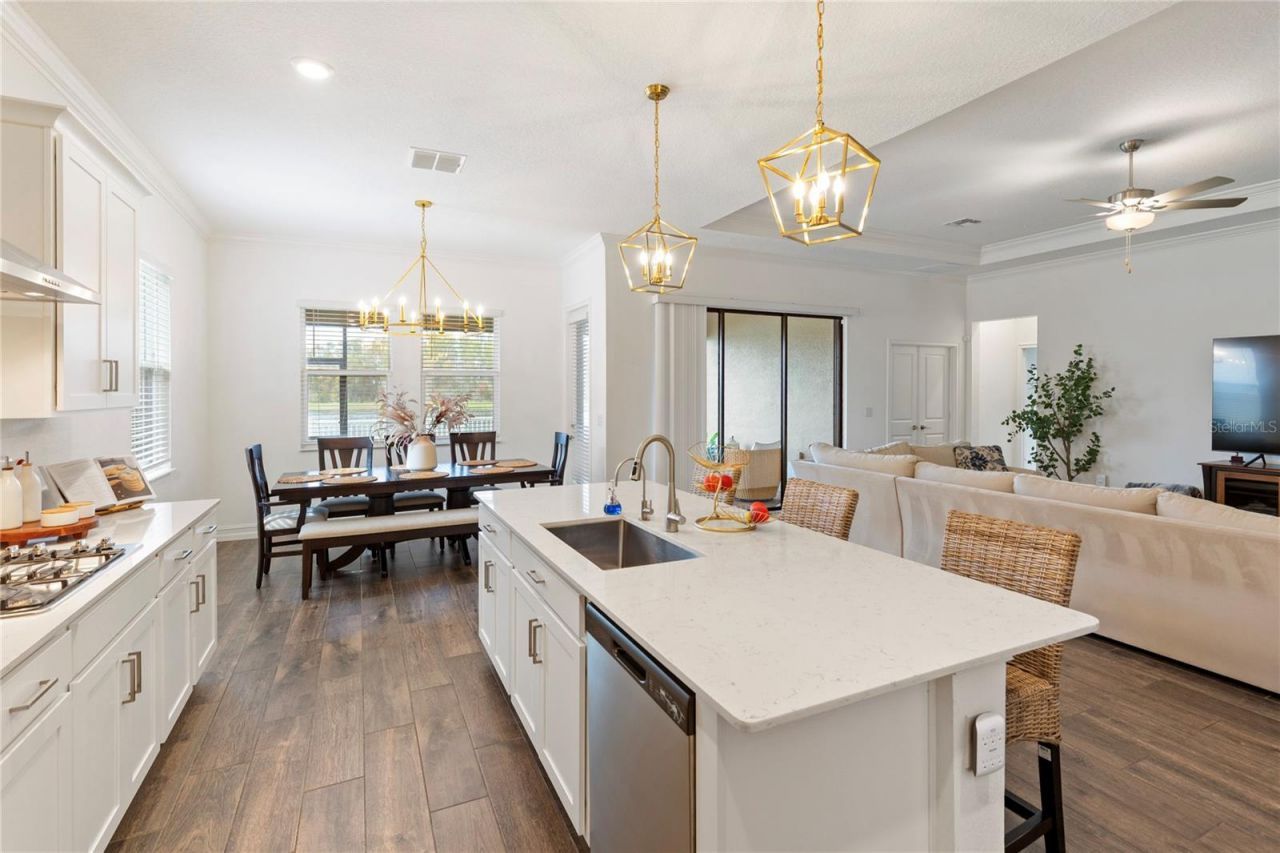 8692 Little Bluestem Drive, Land O Lakes, FL 34637 Photo