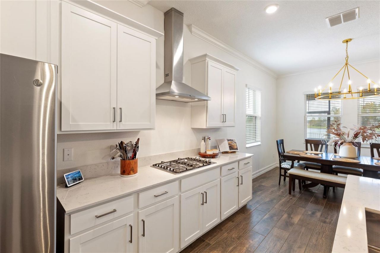 8692 Little Bluestem Drive, Land O Lakes, FL 34637 Photo