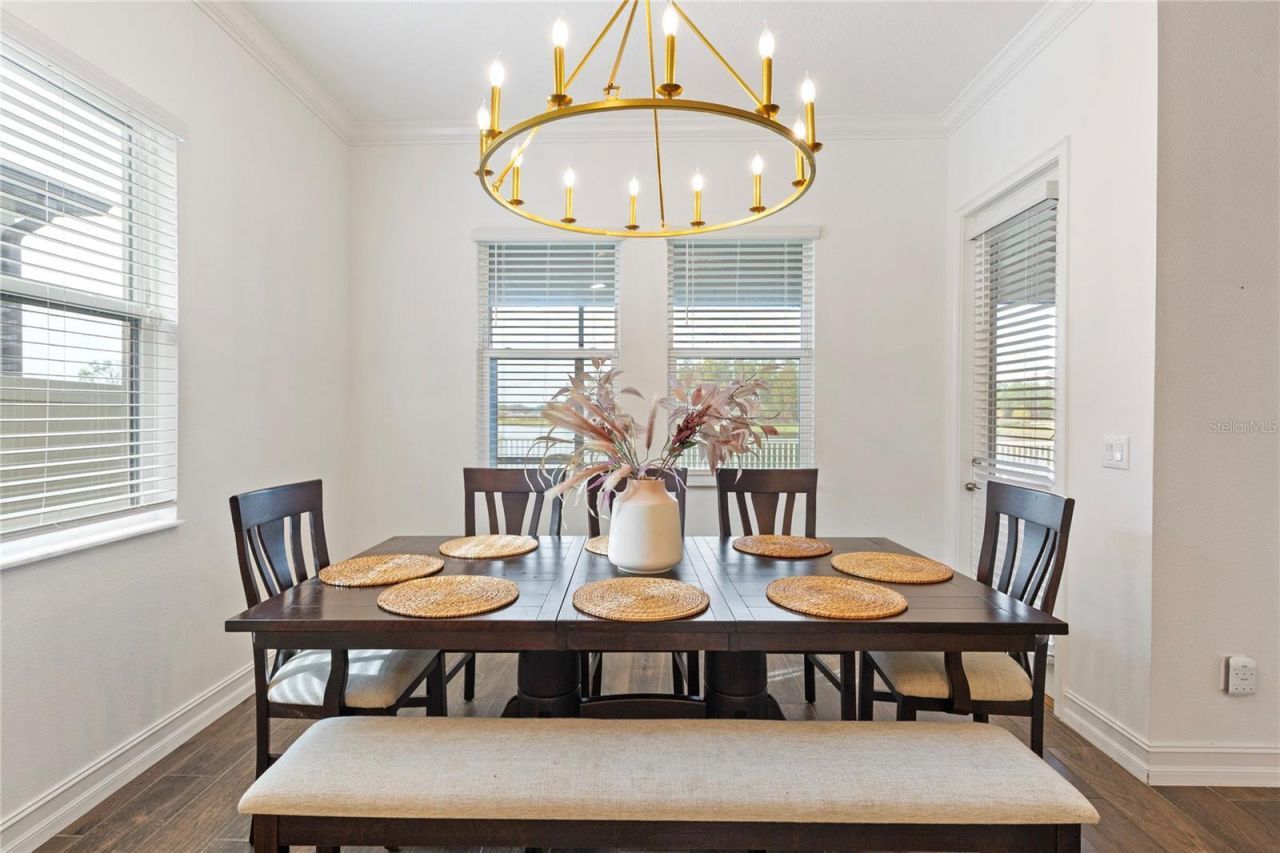 8692 Little Bluestem Drive, Land O Lakes, FL 34637 Photo