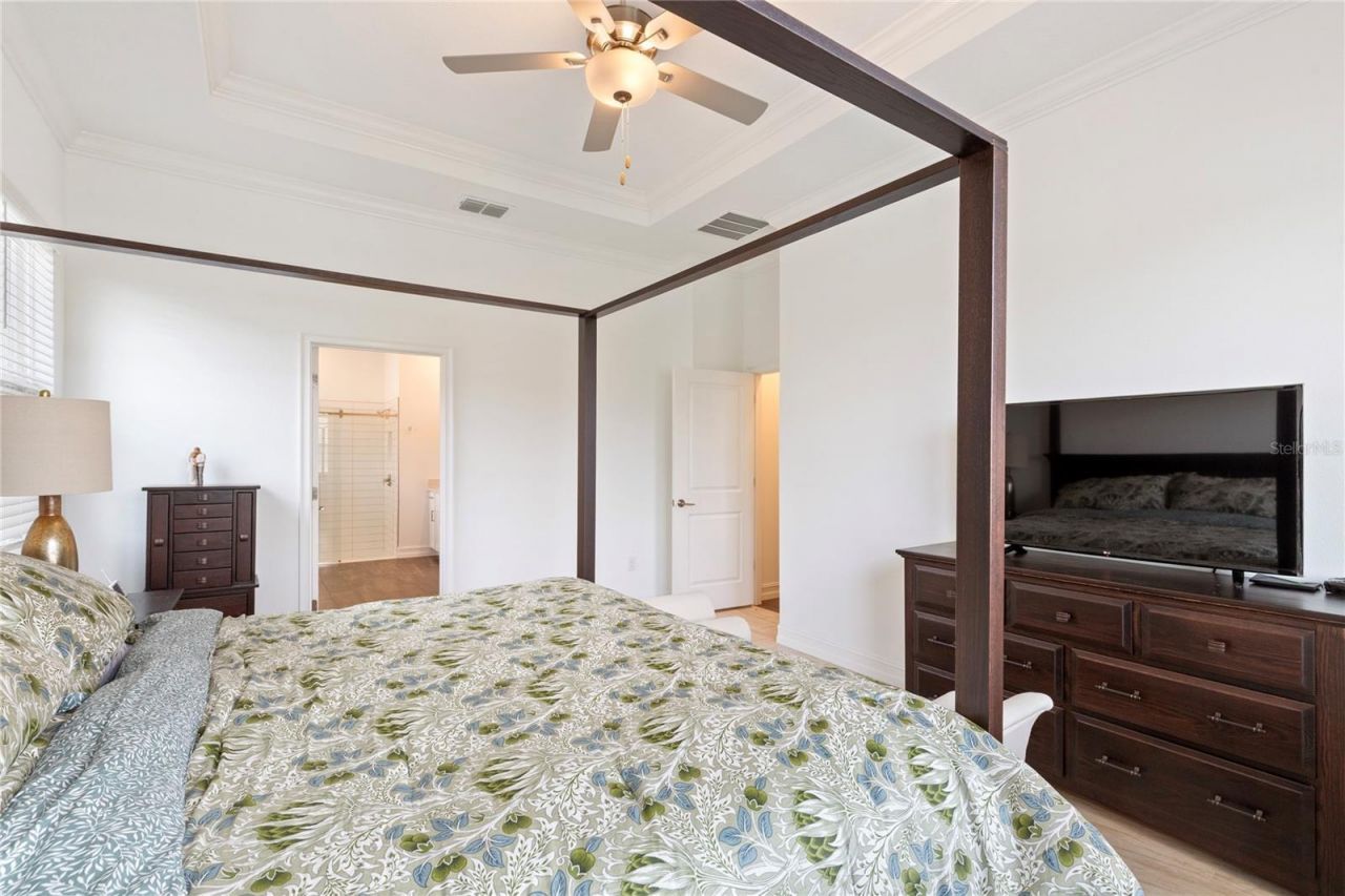 8692 Little Bluestem Drive, Land O Lakes, FL 34637 Photo