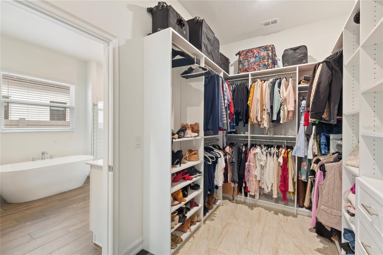 8692 Little Bluestem Drive, Land O Lakes, FL 34637 Photo