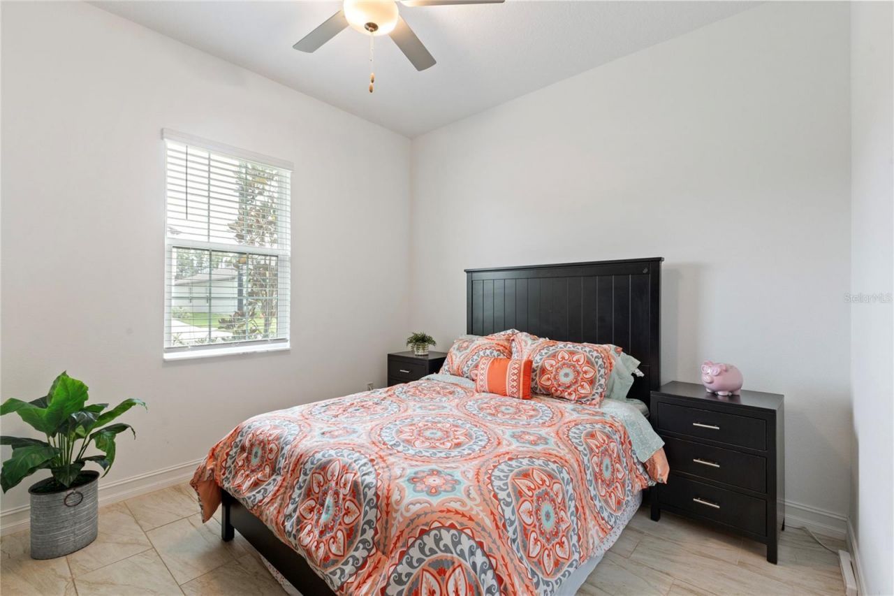 8692 Little Bluestem Drive, Land O Lakes, FL 34637 Photo