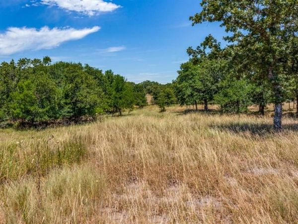 271 Creek Meadow Court, Lipan, TX 76462