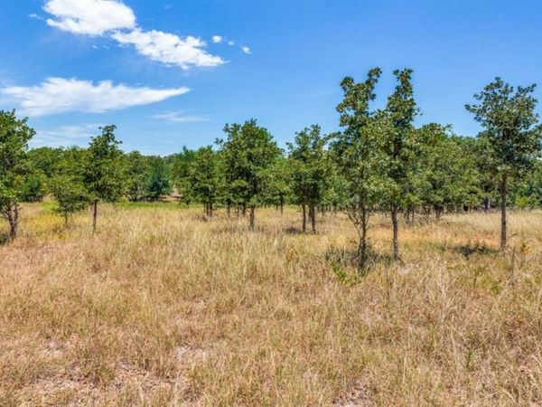 271 Creek Meadow Court, Lipan, TX 76462