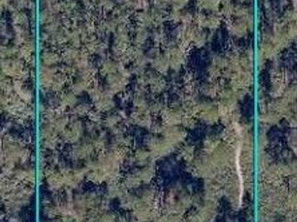 TBD 79th Street, Fellsmere, FL 32948