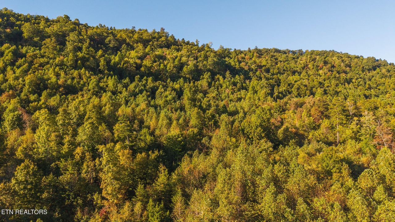 0 Black Valley Rd, Sneedville, TN 37869 Main Photo