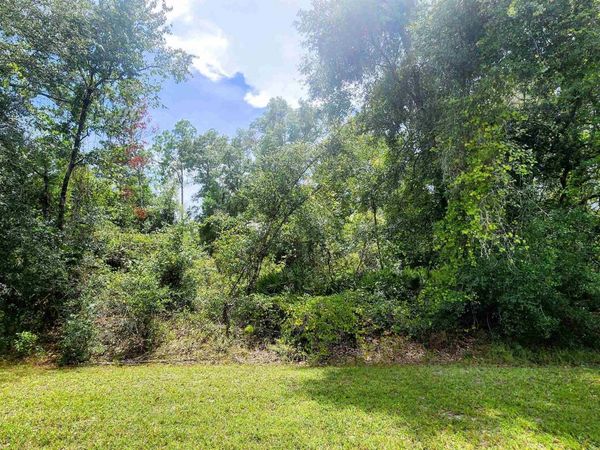 S Georgetown Point Rd, Georgetown, FL 32139