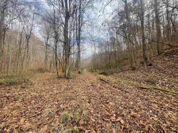 TBD Sand Fork Road, Walkersville, WV 26447