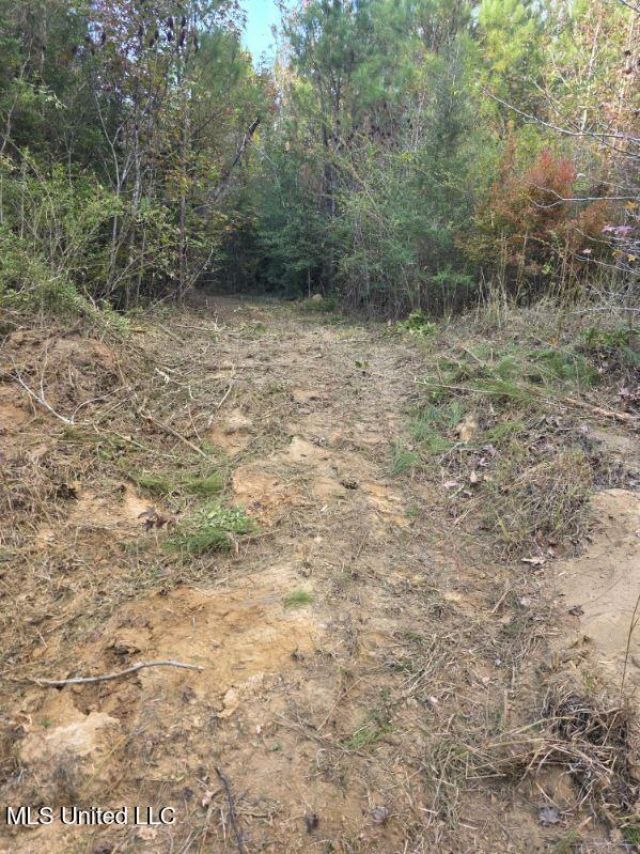 125 Moses Lane, Prentiss, MS 39474 Main Photo