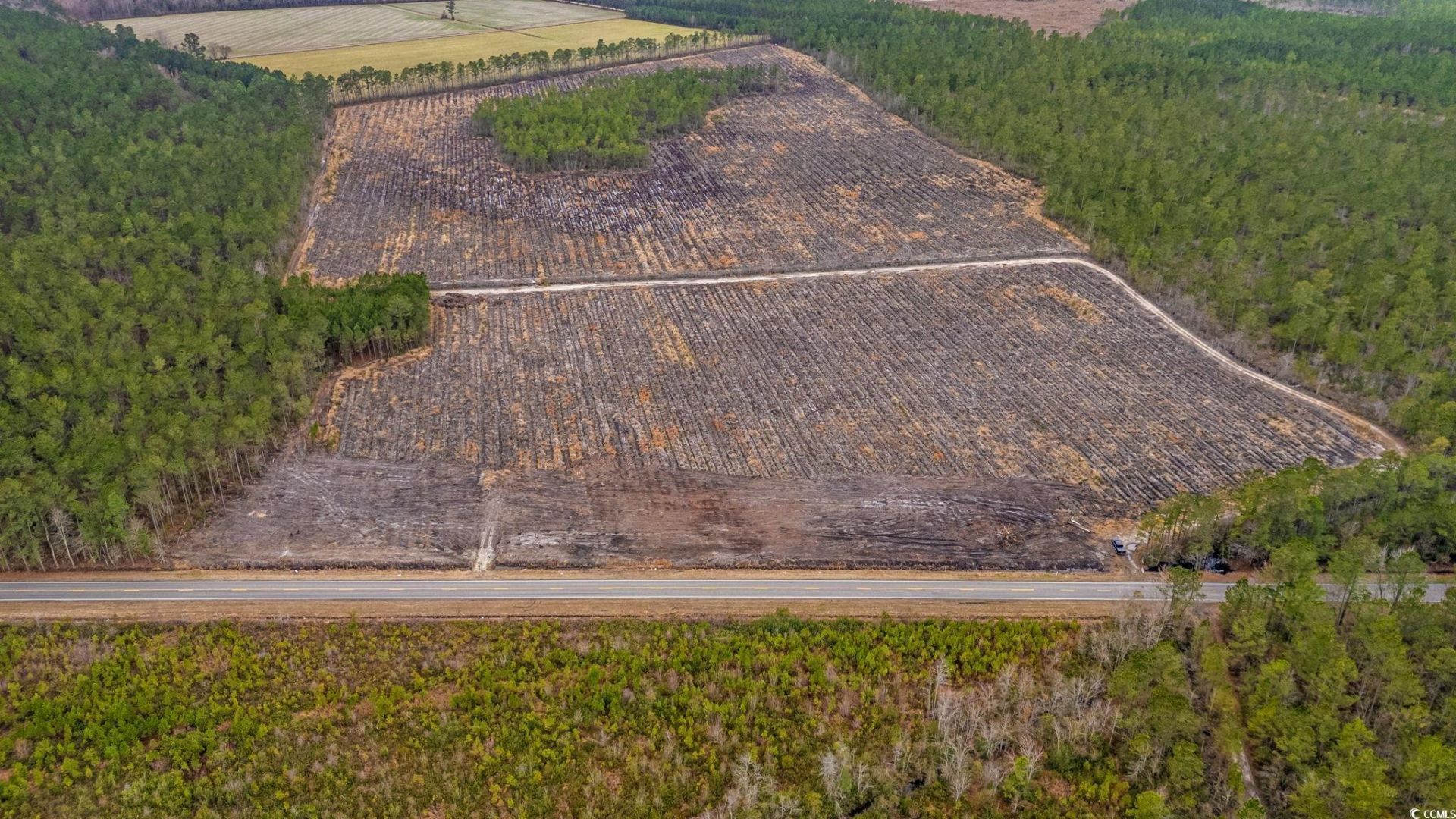 Tbd Joyner Swamp Rd. Photo 10