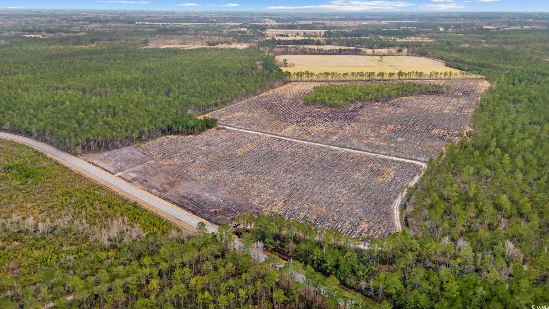 Tbd Joyner Swamp Rd. Photo 11