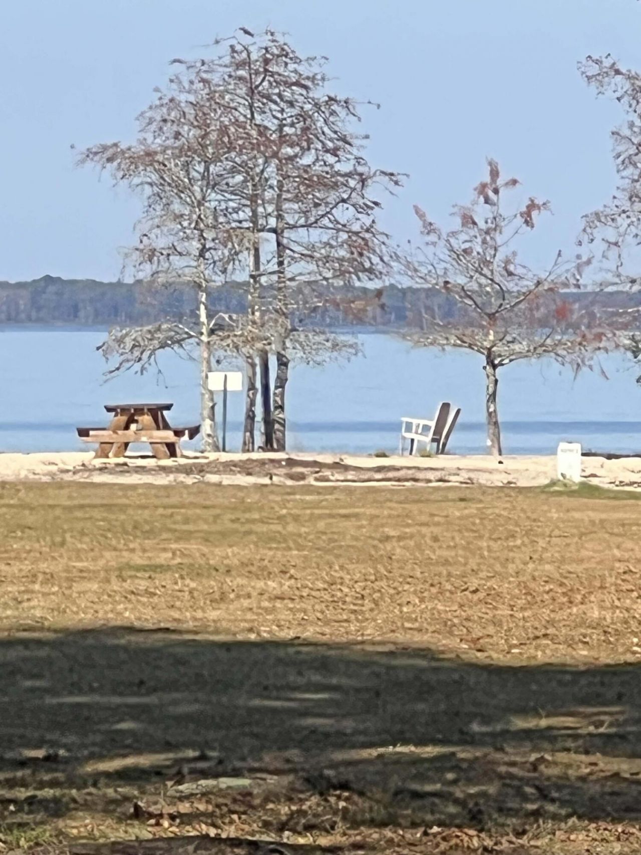 137 Knott Drive Photo 19