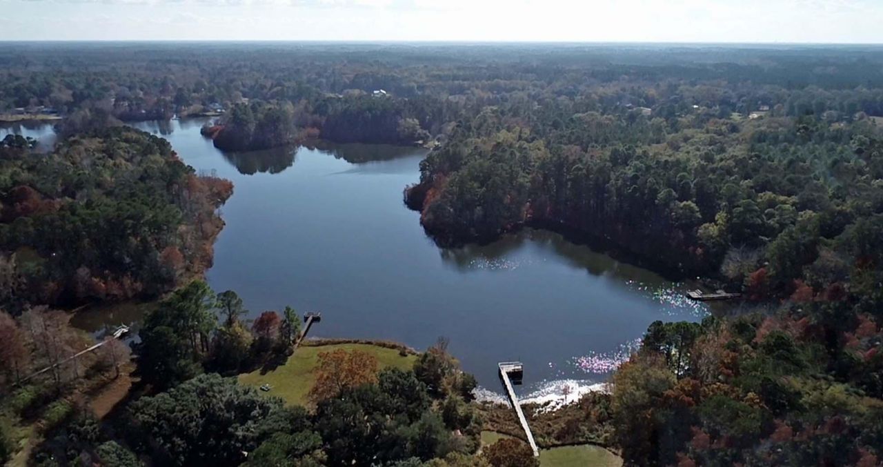 137 Knott Drive Photo 22