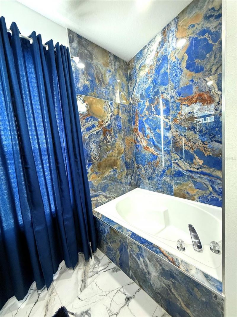 8042 King Palm Circle, Kissimmee, FL 34747 Photo