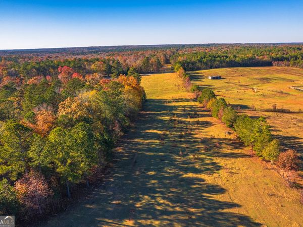 0 Pine Grove Church Road, Culloden, GA 31016