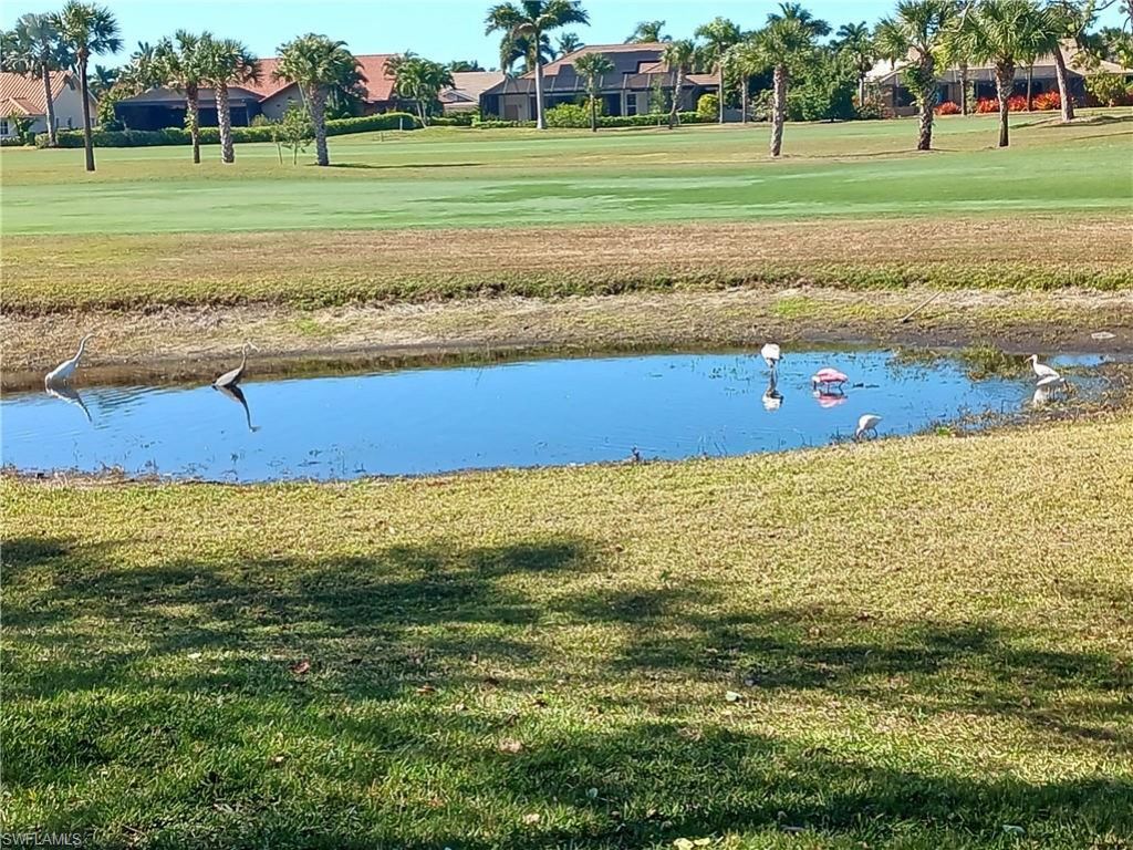 9851 Costa Mesa Ln, Unit 305, Bonita Springs, FL 34135 Photo