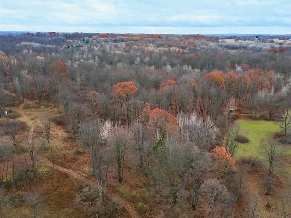 Hatton Road, Farwell, MI 48622