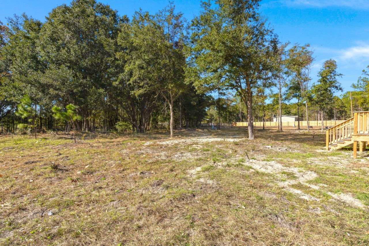 313 Marion Road Photo 29