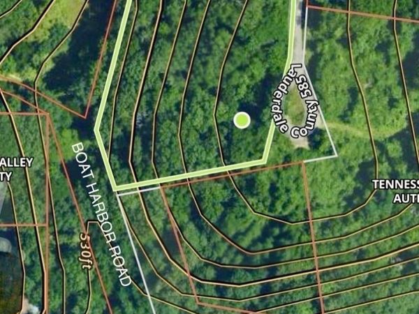 0 Co Rd 585, Rogersville, AL 35652