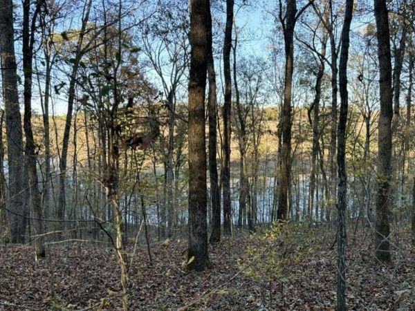0 Co Rd 585, Rogersville, AL 35652