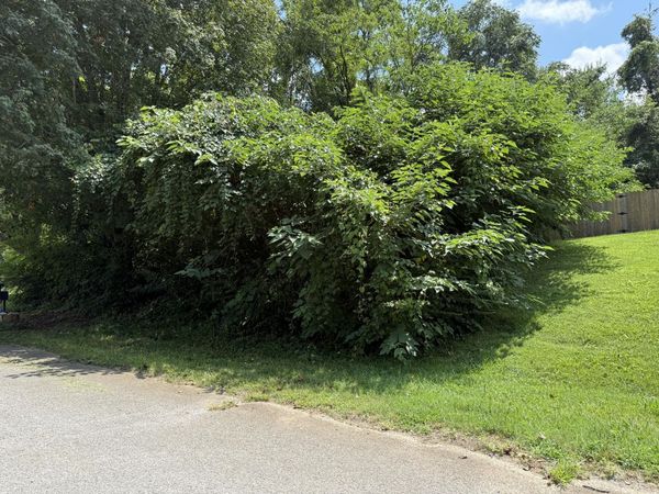 TBD Rambling Road, Morristown, TN 37814