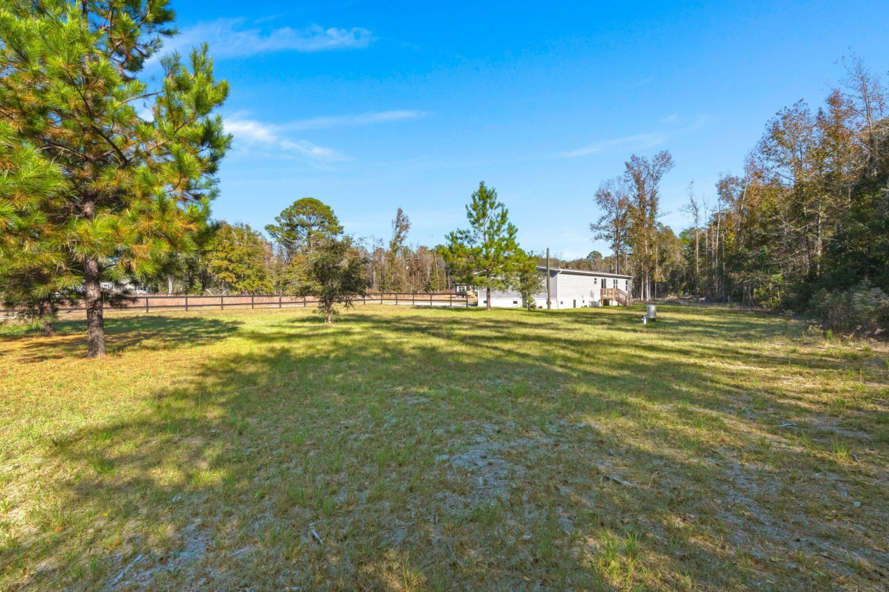 282 Marion Road Photo 29