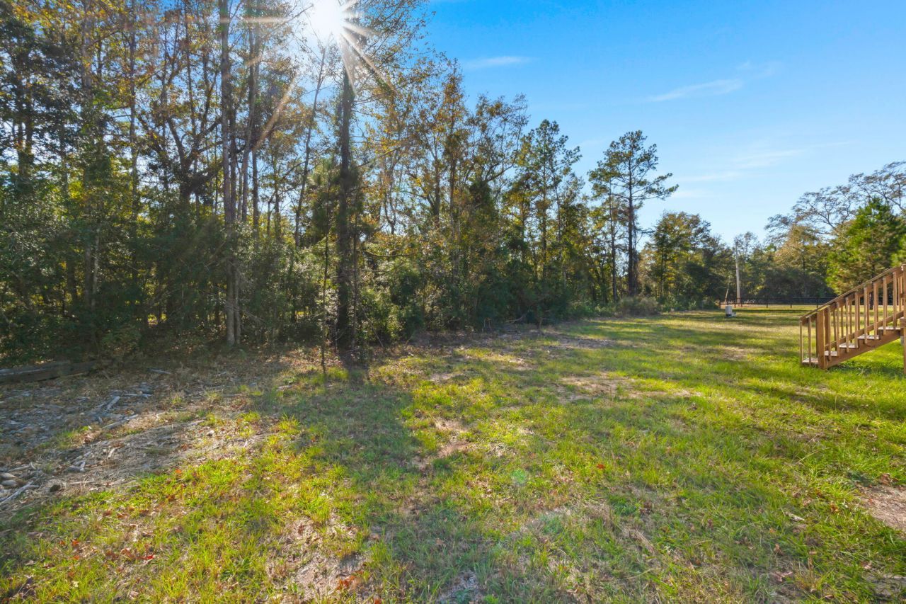 282 Marion Road Photo 32