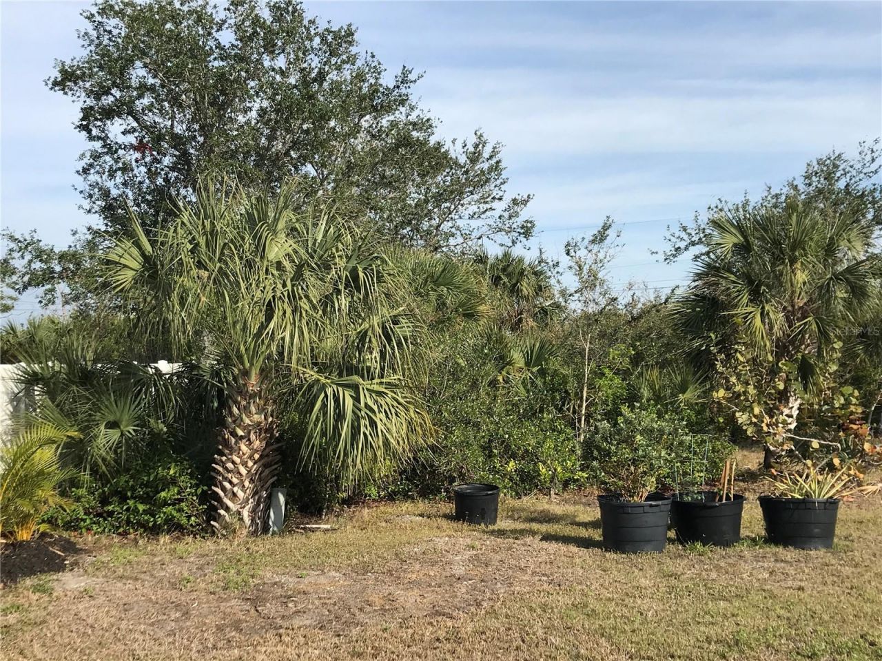 15079 Wichita Road, Port Charlotte, FL 33981 Photo