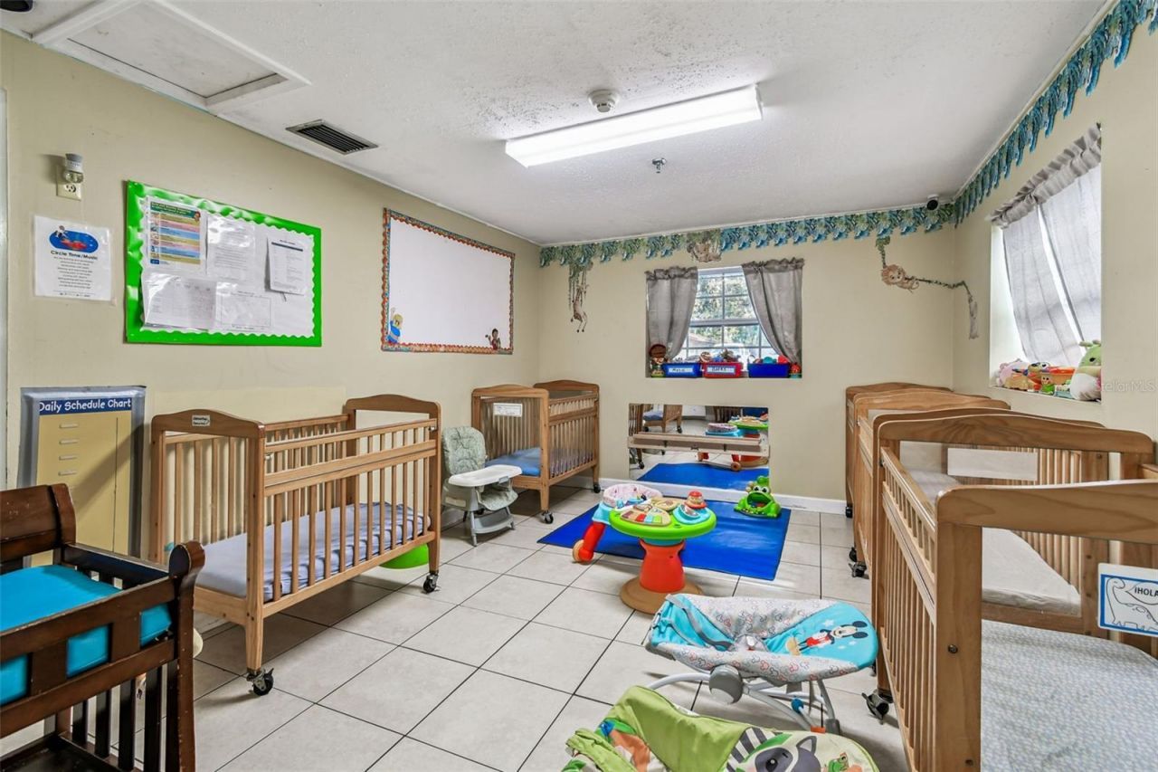 9912 N Myrtle Street, Tampa, FL 33617 Photo