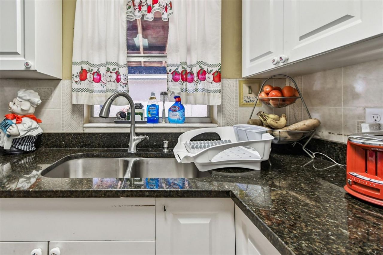 9912 N Myrtle Street, Tampa, FL 33617 Photo