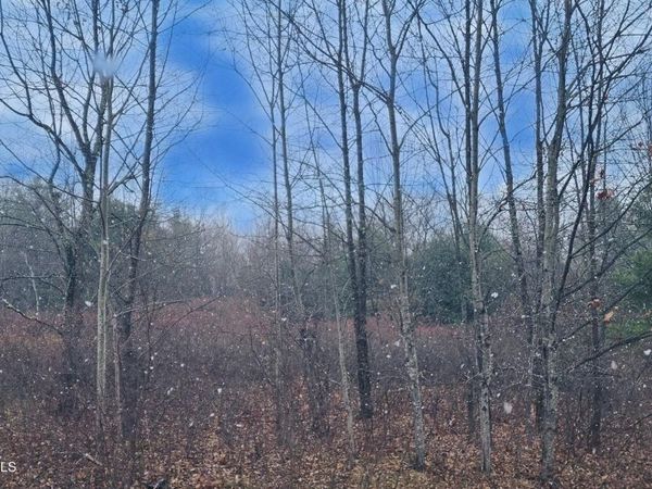 40 Bailey Road, Jewett, NY 12444