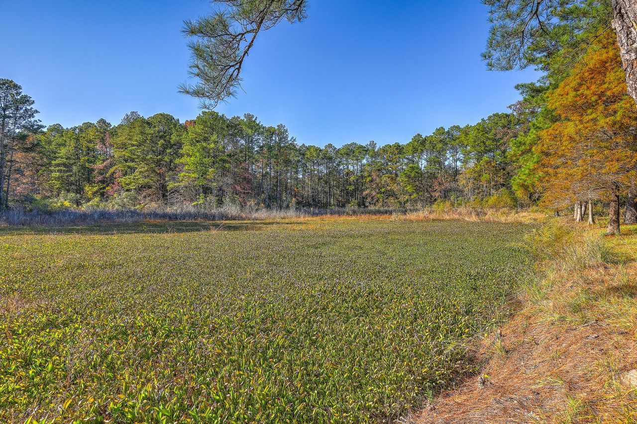 00 S Hwy 17a Photo 14