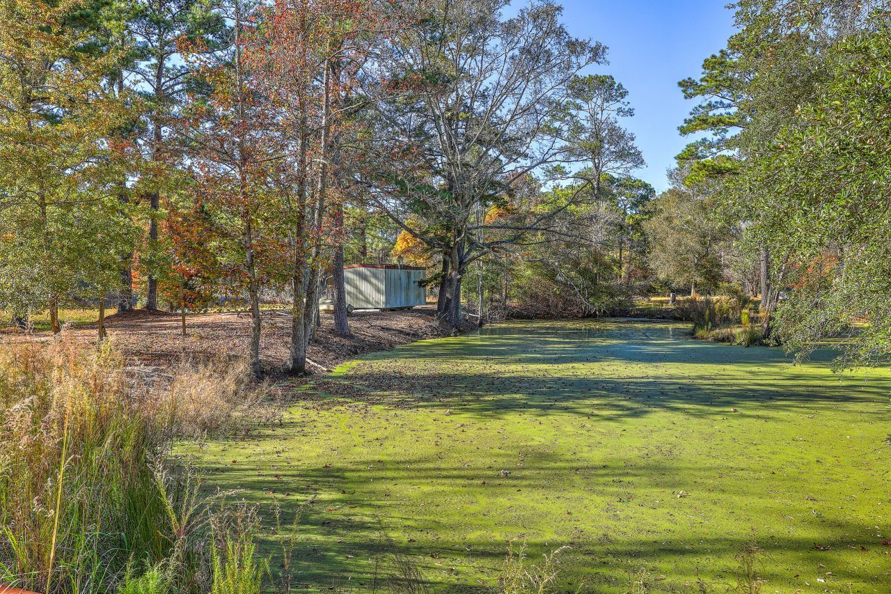 00 S Hwy 17a Photo 16